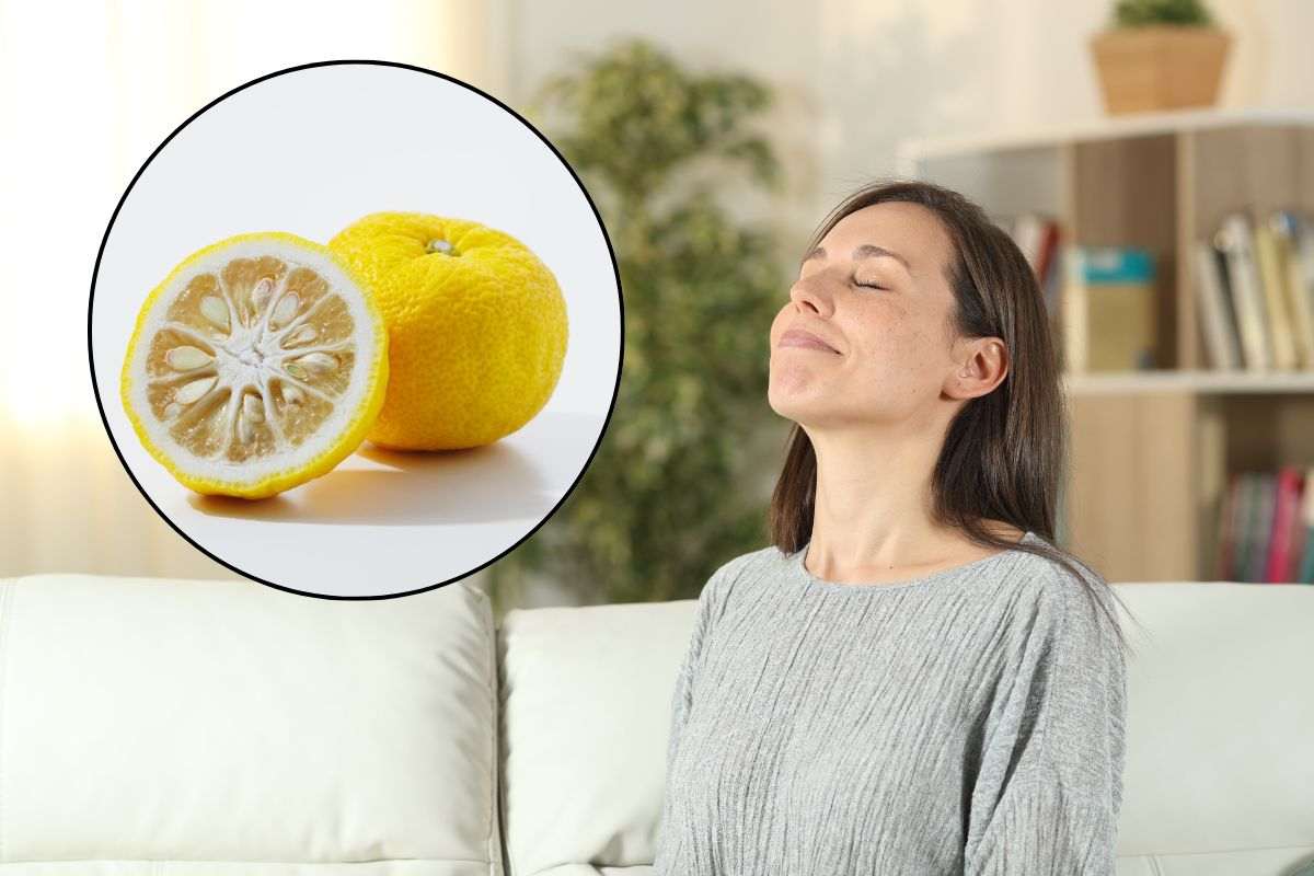 Casa profumata con i limoni