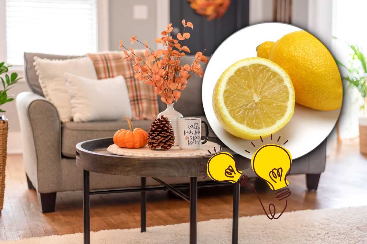 Idee per profumare casa