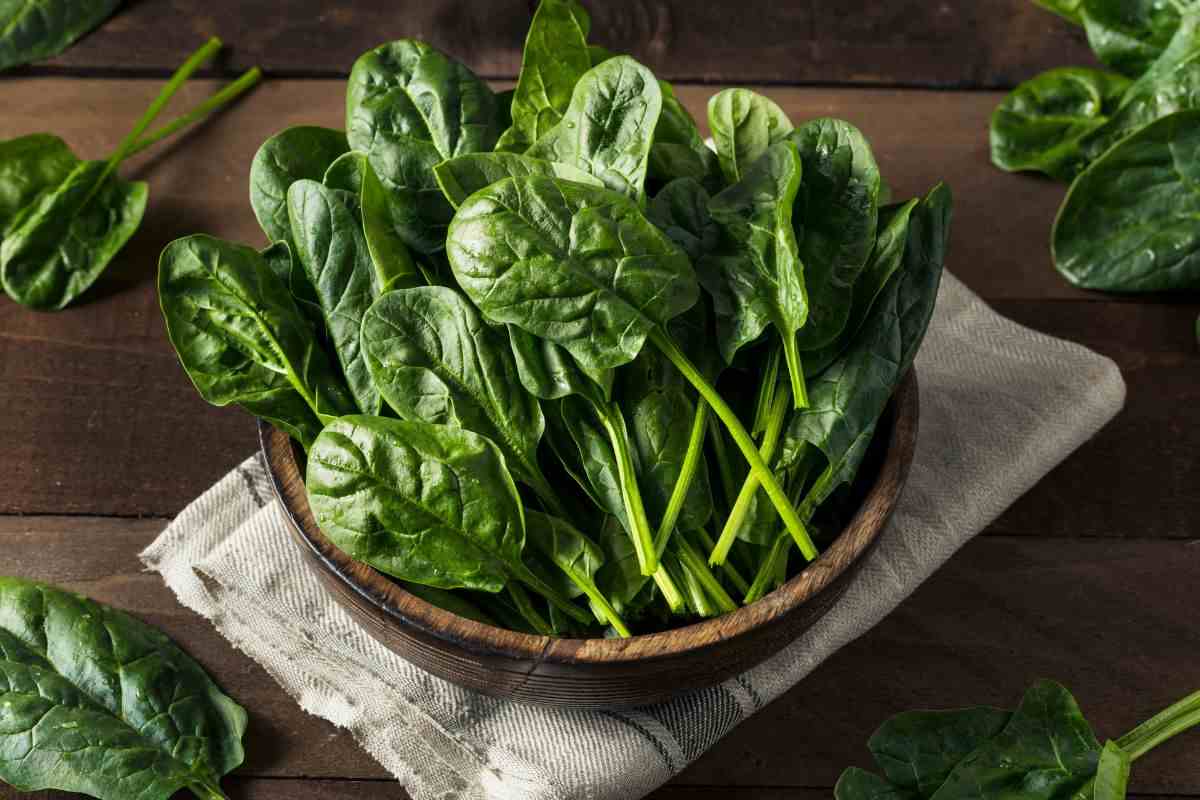 Spinaci freschi nella scodella