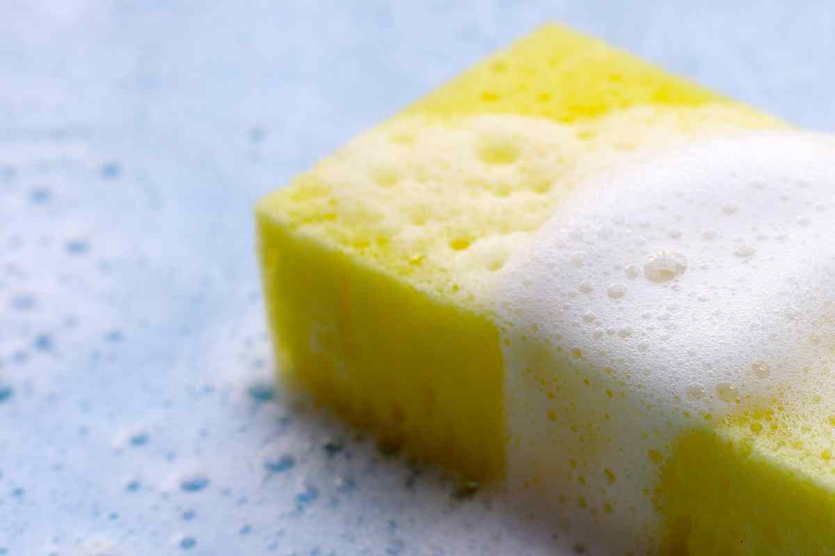 spugna piena di sapone
