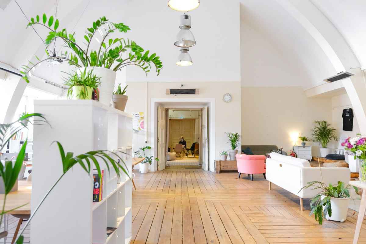 bella casa con piante rigogliose