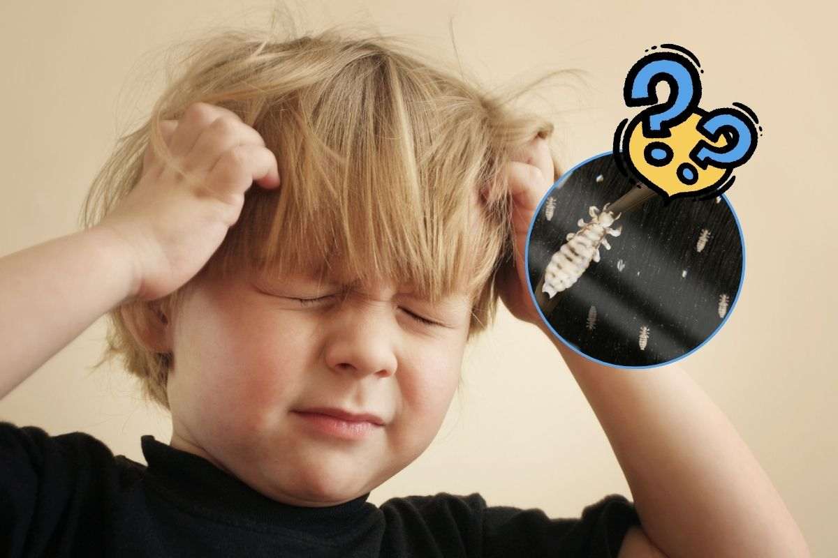 Bambino si gratta la testa per i pidocchi