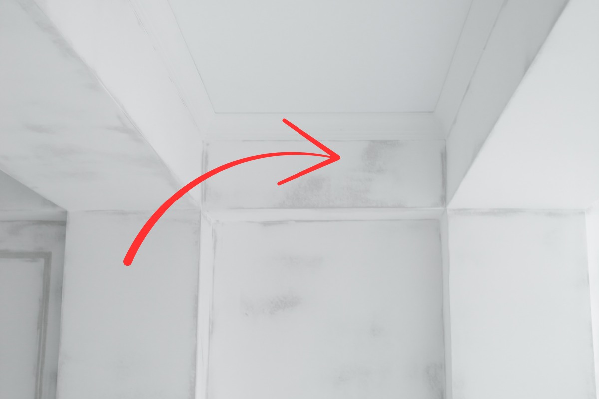 Macchie su muri bianchi