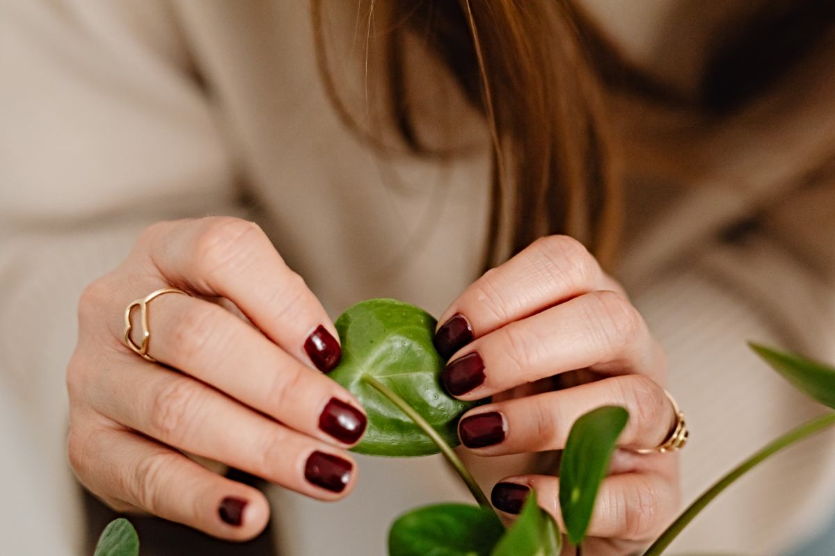 Donna tocca foglie di una pianta