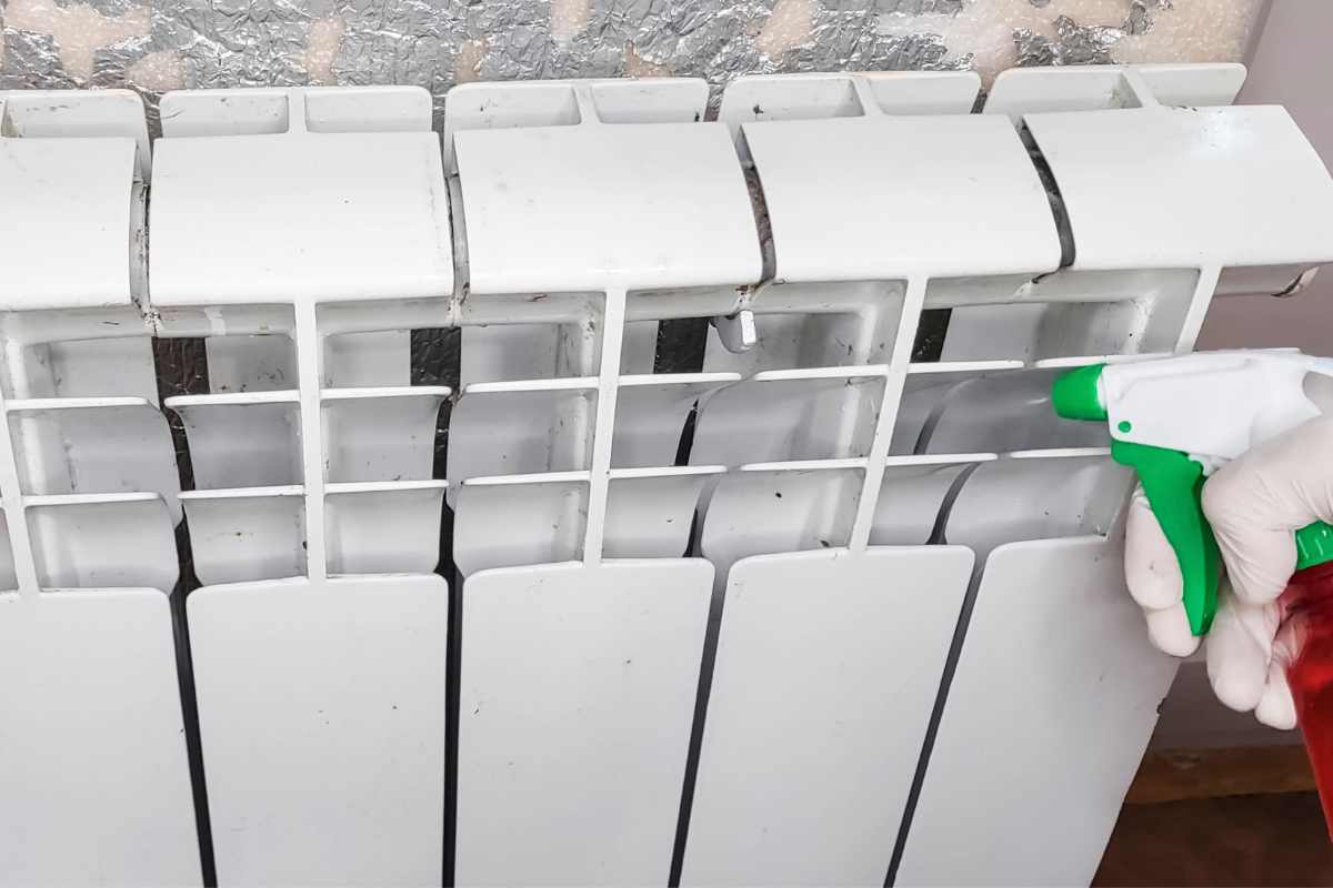 termosifone spruzzino