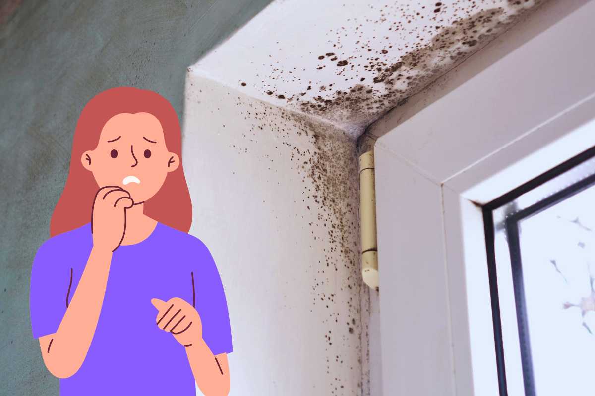 muffa finestra grafica donna preoccupata