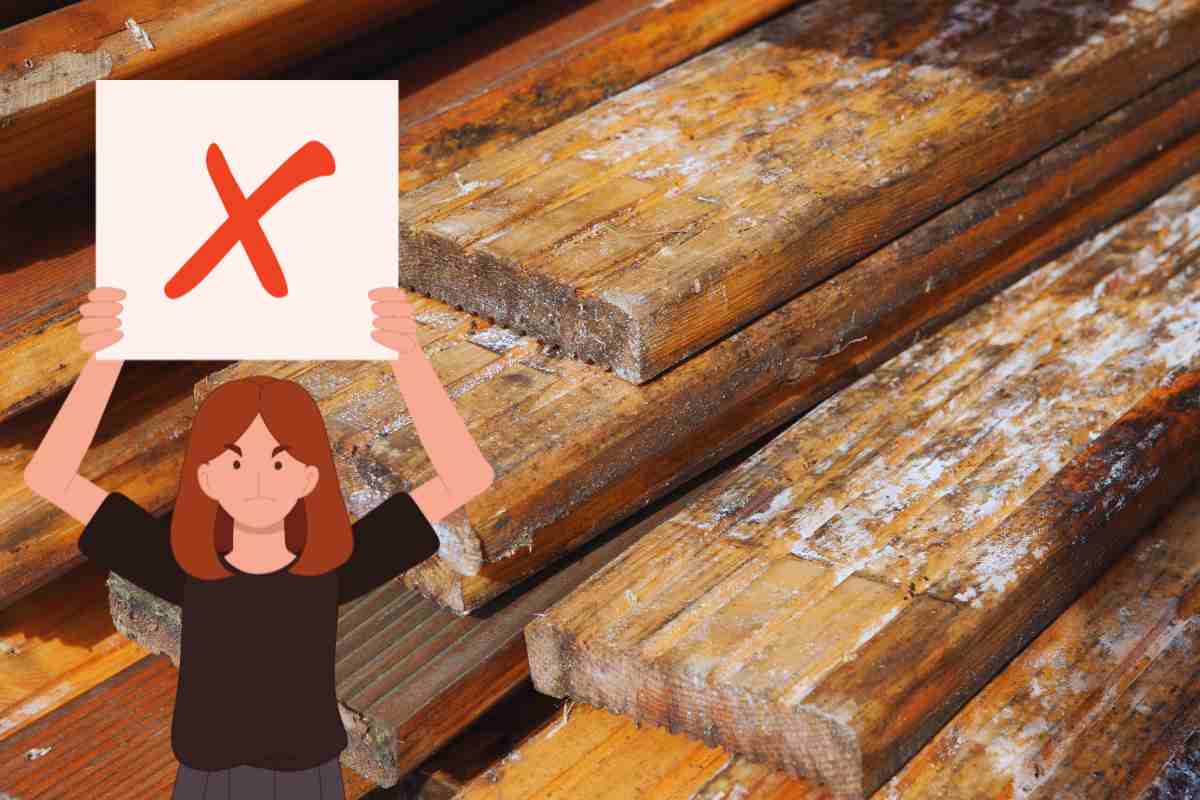 tavole legno muffa grafica