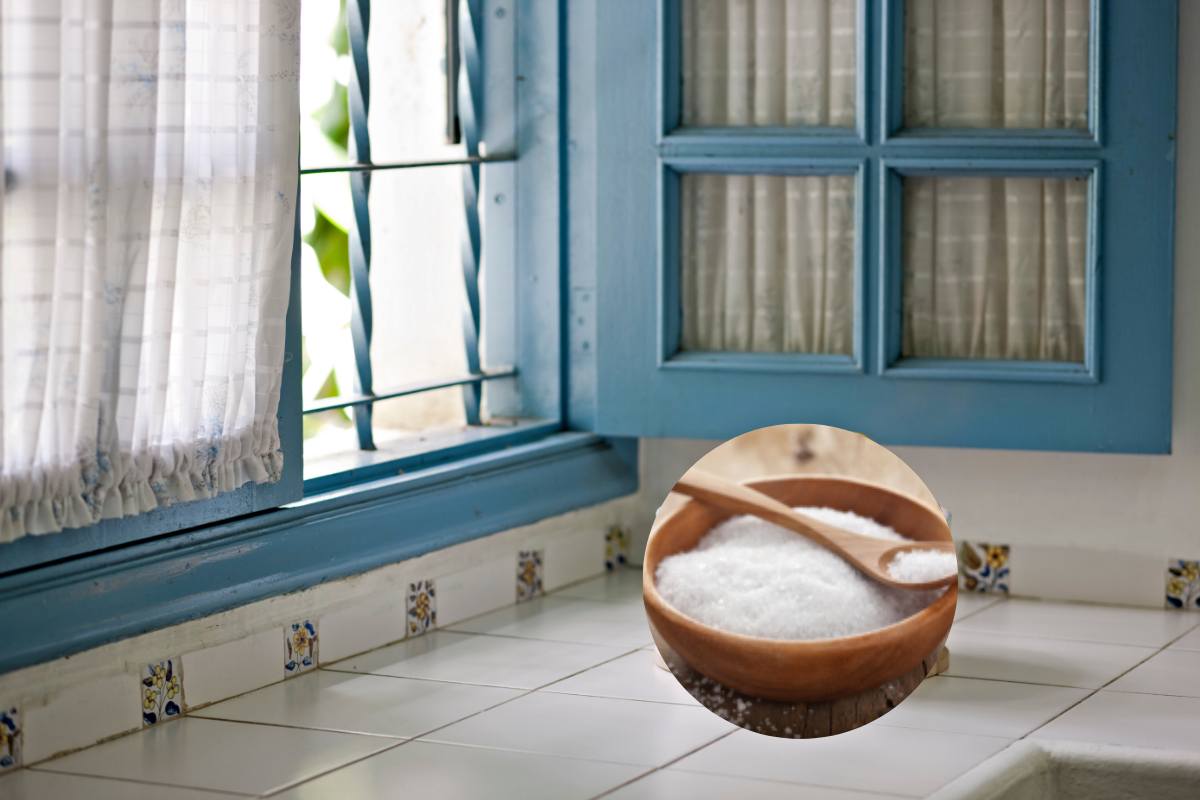 Finestra e ciotola con il sale