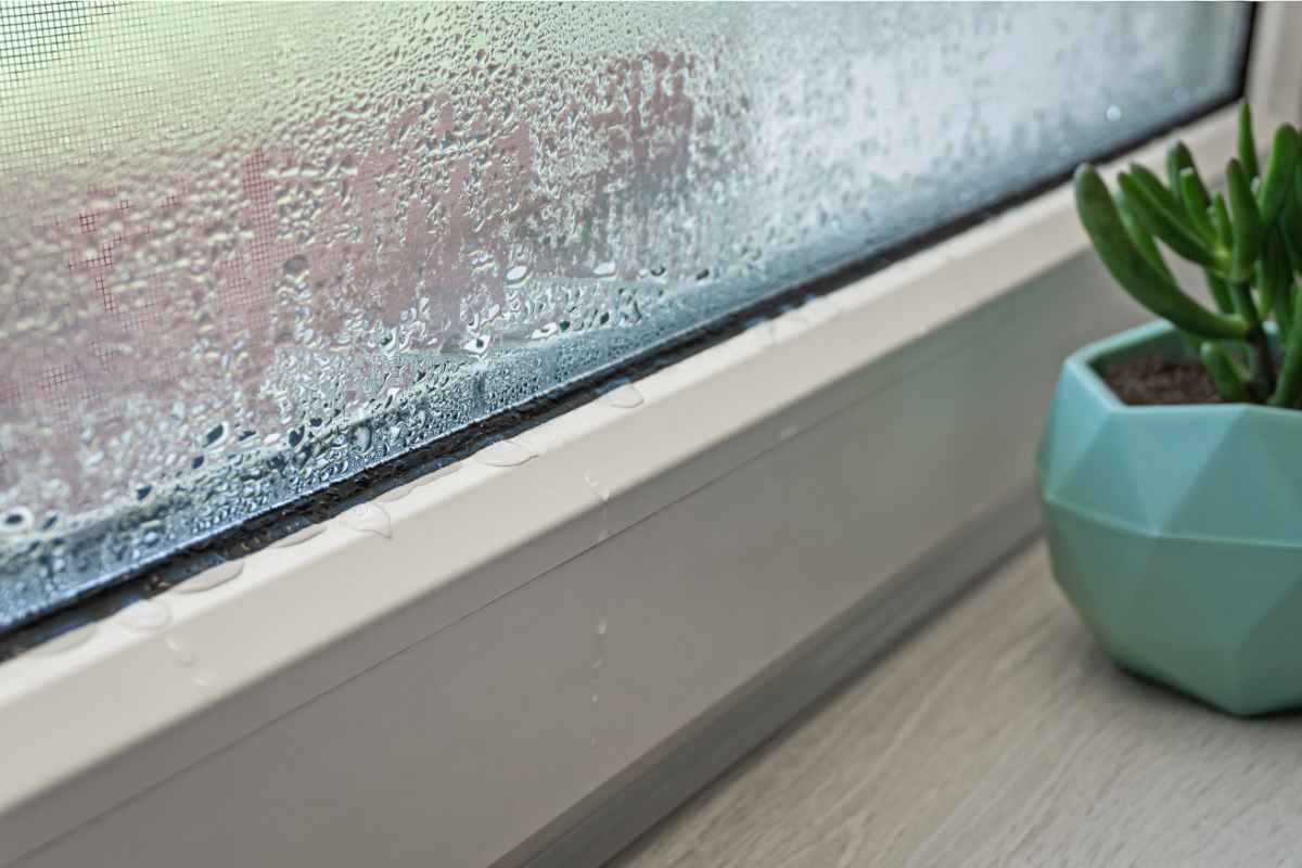 Condensa sulla finestra