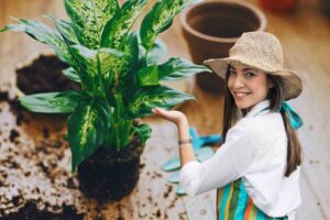 pianta fuori dal vaso giardiniera felice