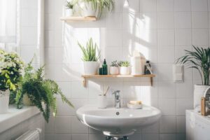 piante in bagno